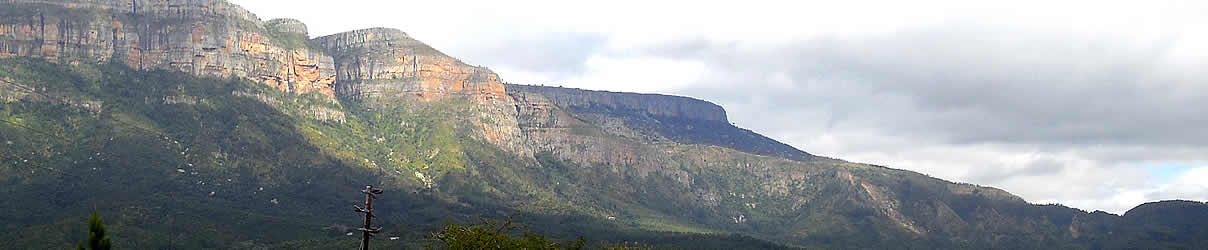 Mariepskop, Moholoholo
